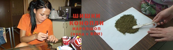 хмурый Липки