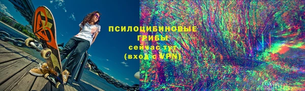 ПСИЛОЦИБИНОВЫЕ ГРИБЫ Лиски