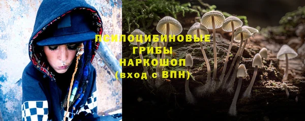 ПСИЛОЦИБИНОВЫЕ ГРИБЫ Лиски