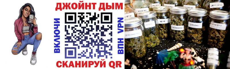 нарко площадка наркотические препараты  KRAKEN зеркало  Новотитаровская  купить  цена  Конопля тримм 